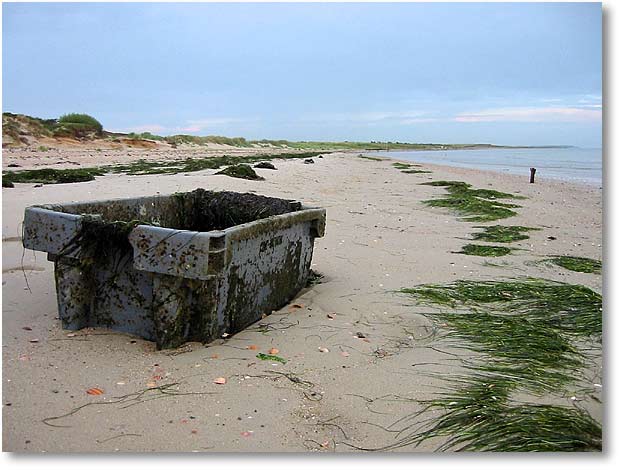 Strand bei Utersum