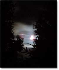 Fotogalerie - Photos