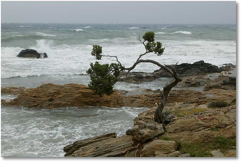 Bucht II