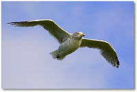 Foto: Mwe - hier klicken